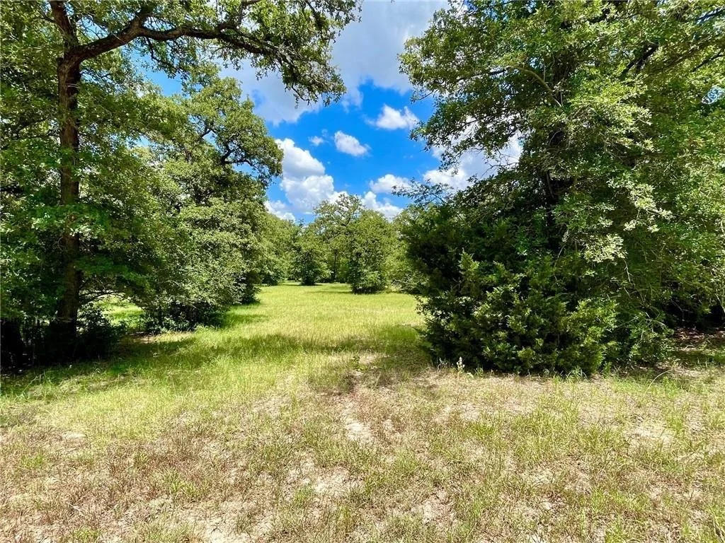 Photo of 10571 County Road 321