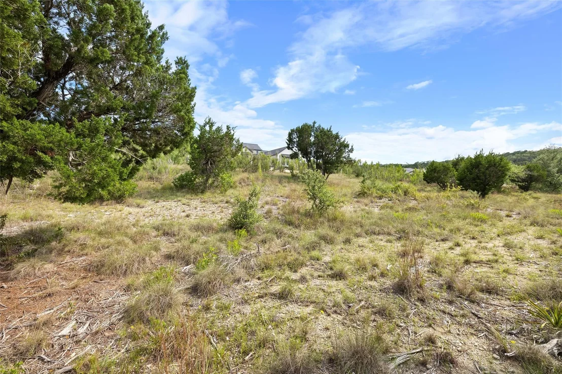Photo of LOT 39 LODESTONE CV