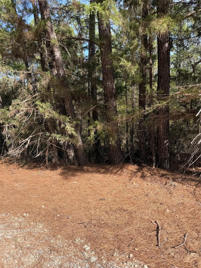 Photo of Lot 266 Wainee DR