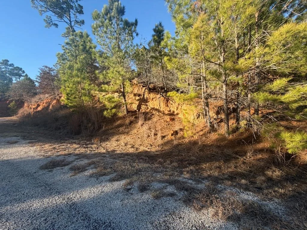 Photo of LOT 182 Keo Kea CT