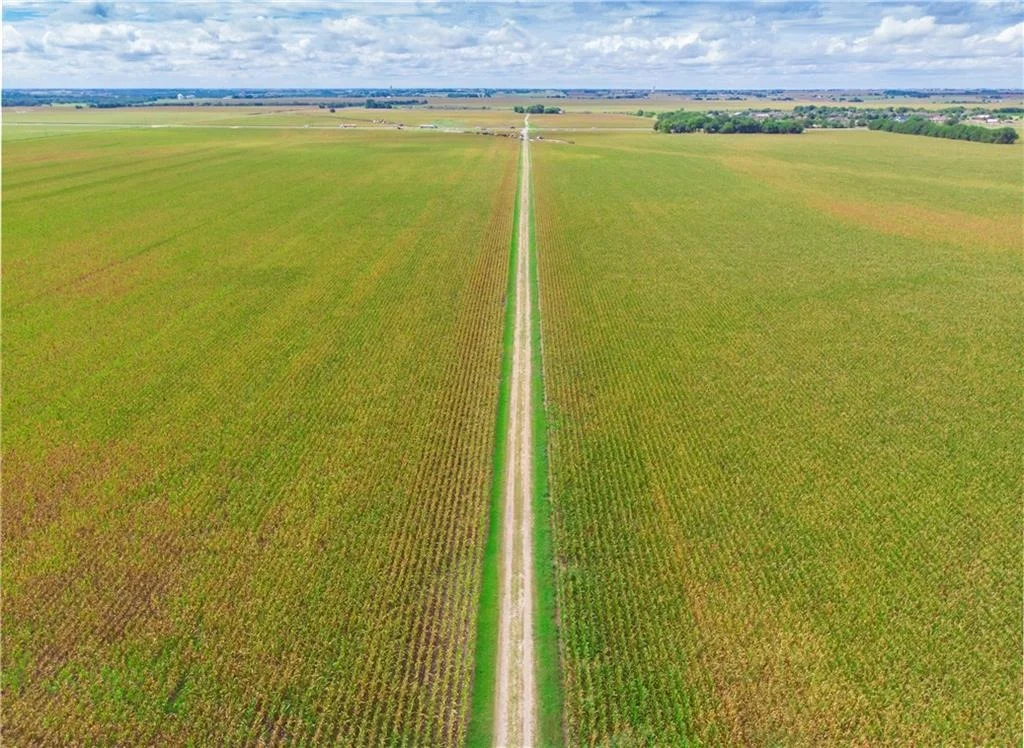 Photo of 703 County Road 368