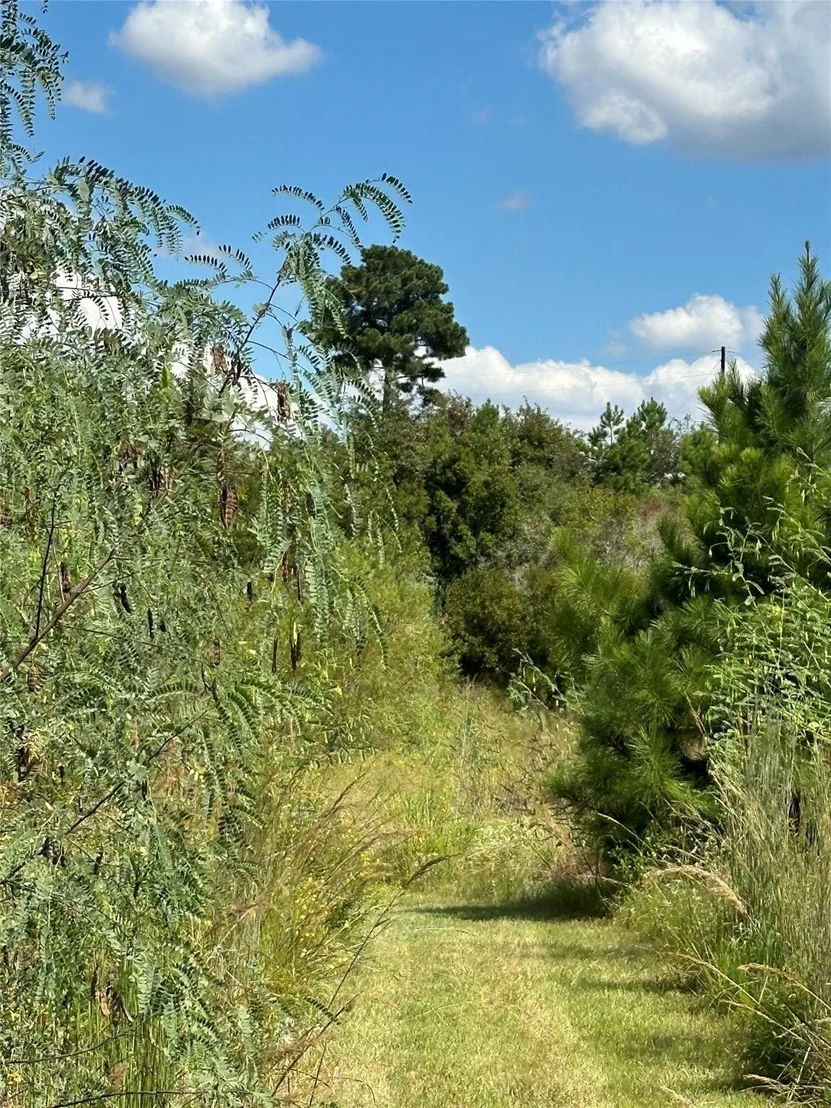 Photo of 210 Long TRL