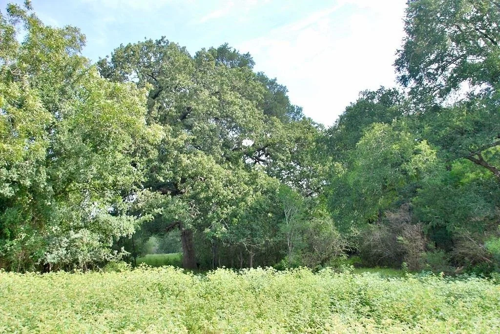 Photo of 9590 Maynard Hallmark RD