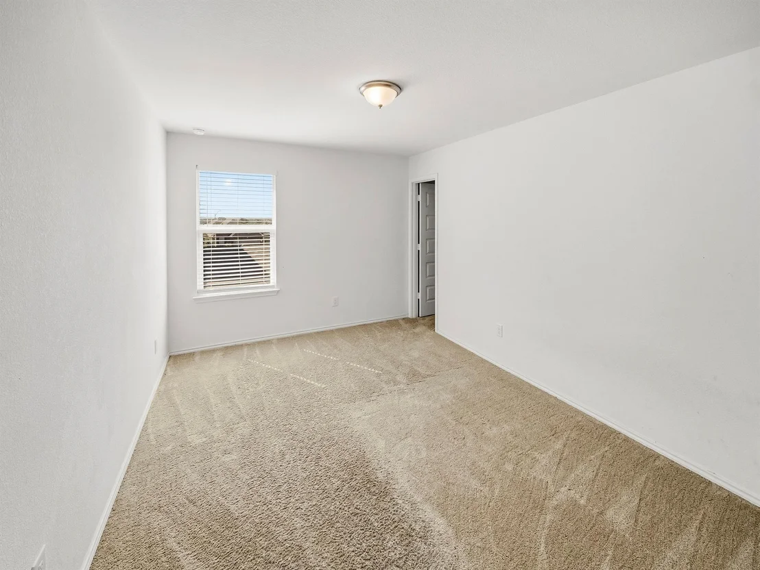 Photo of 101 Clematis CT