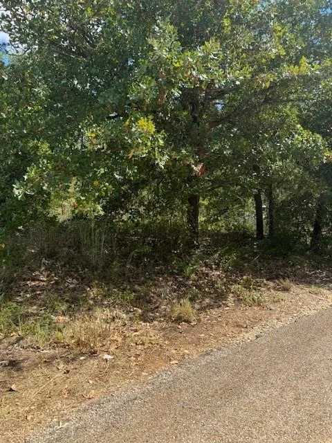 Photo of 261 Flaming Oak DR