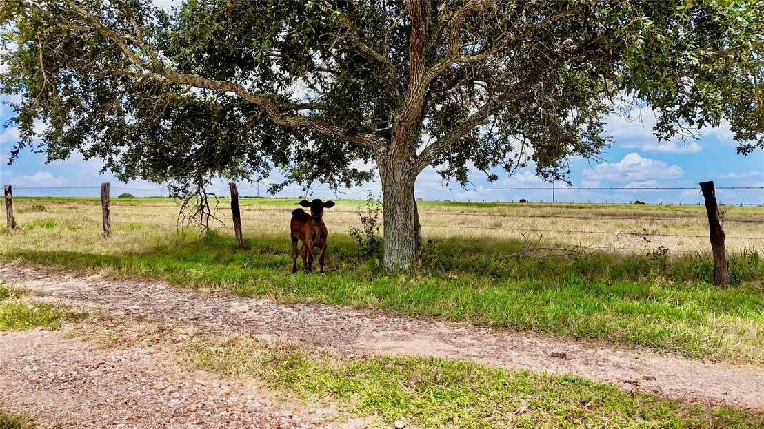 Photo of 4228 County Road 256