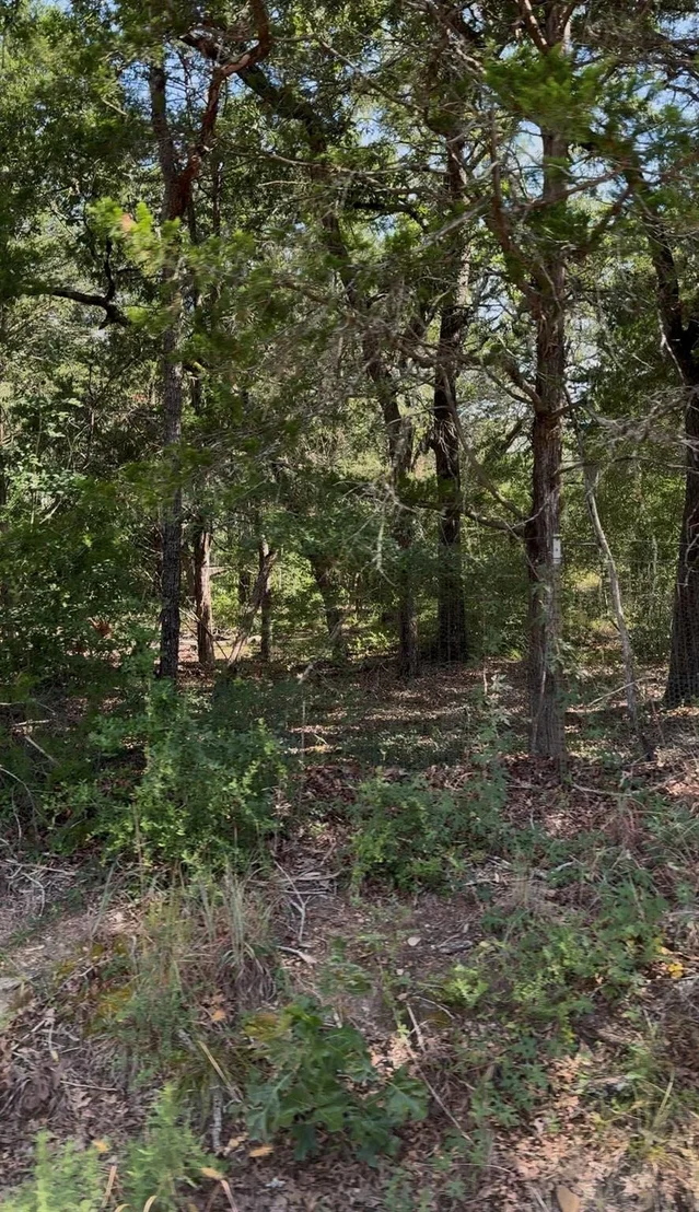 Photo of Unit LOT14A at 314 Green Oaks DR