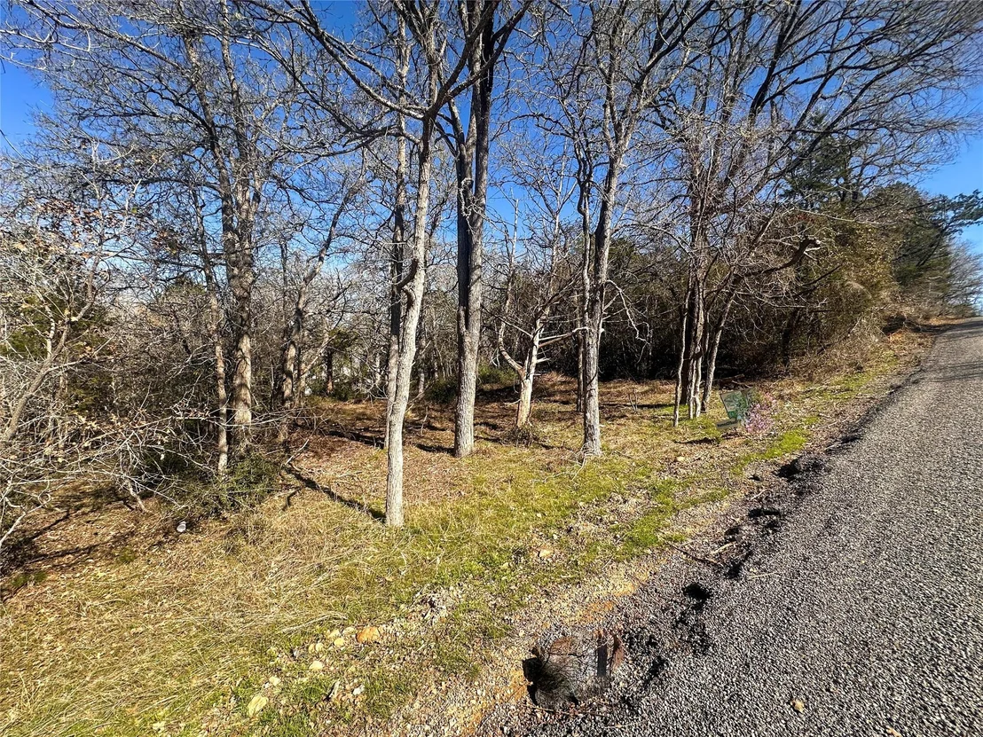 Photo of 250 Iva LN