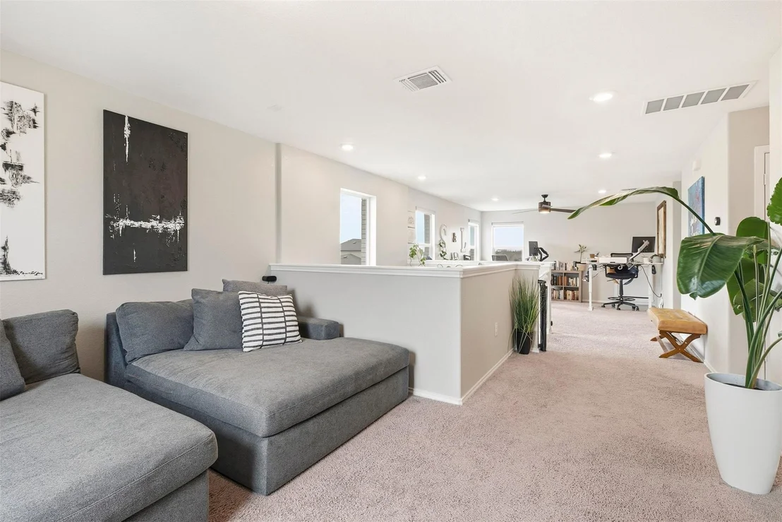 Photo of 1506 Dragonfly LOOP