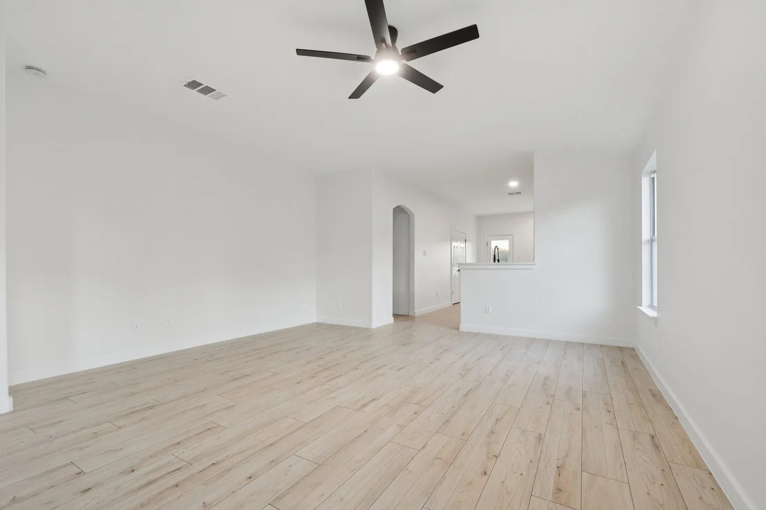 Photo of 17921 Basketflower BND