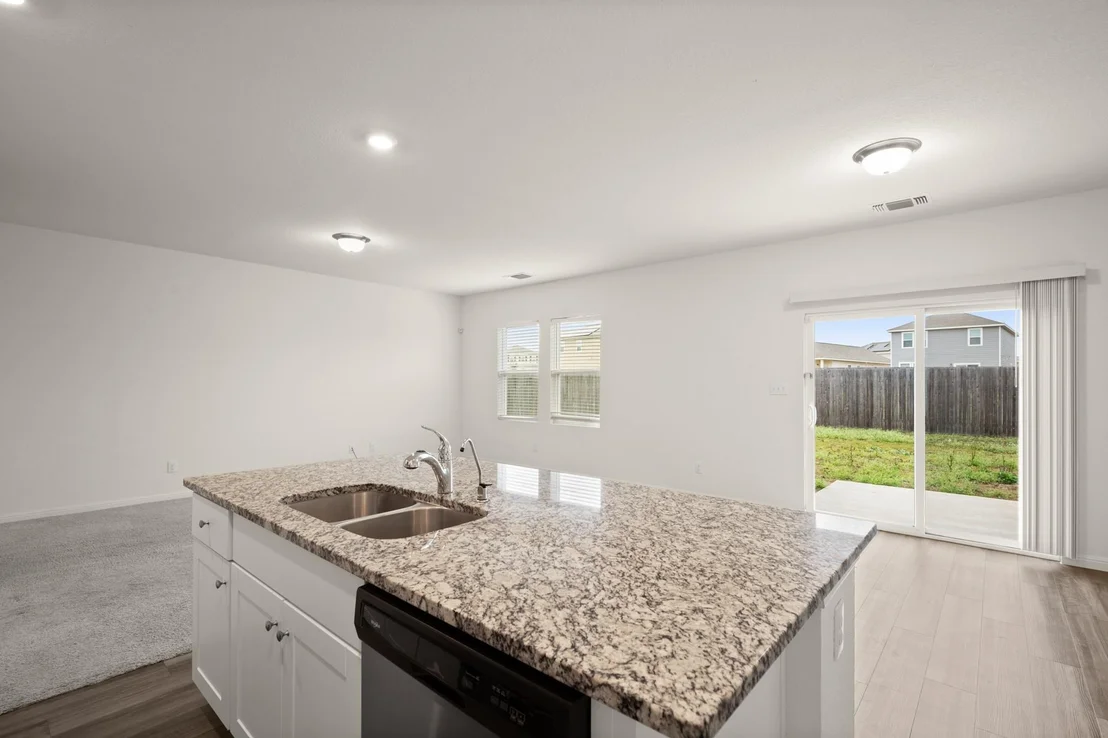 Photo of 109 Gray Fox LOOP