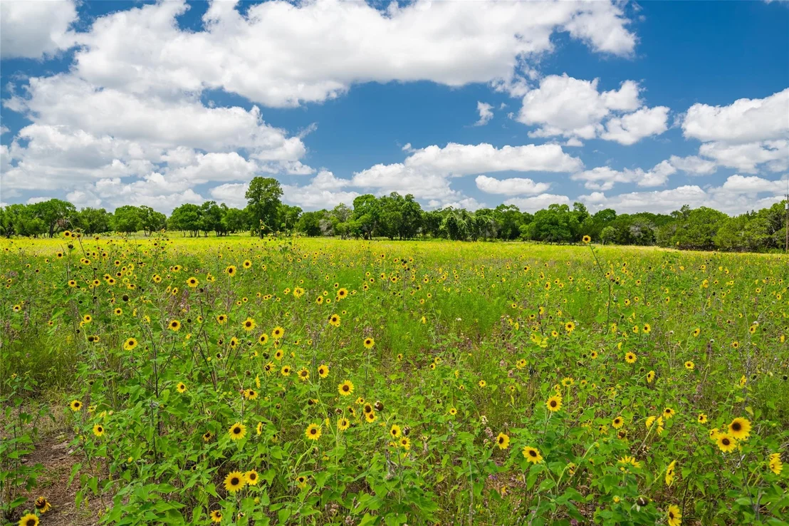 Photo of 301 Blessing Ranch RD