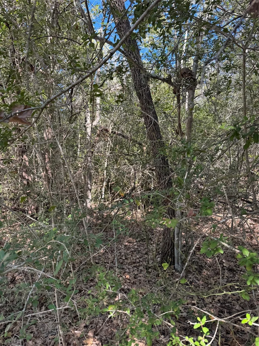 Photo of Lot 195 Kaelepulu DR