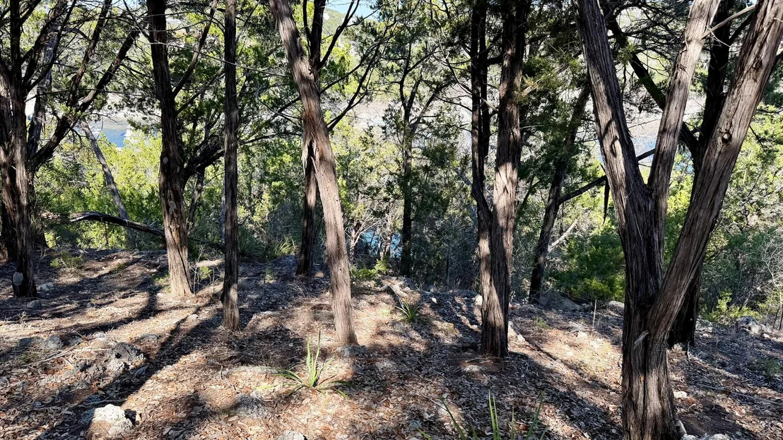 Photo of 4513 Destination WAY