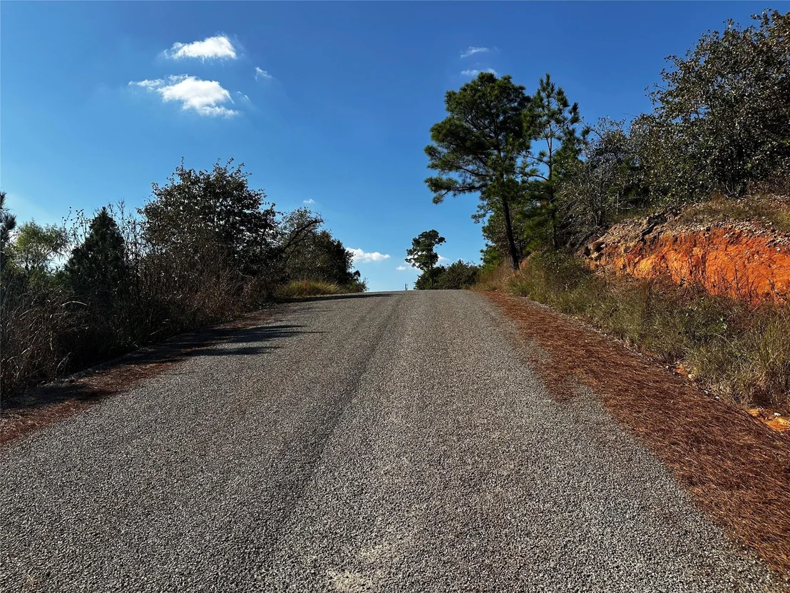 Photo of Lot 89 Aloha LN
