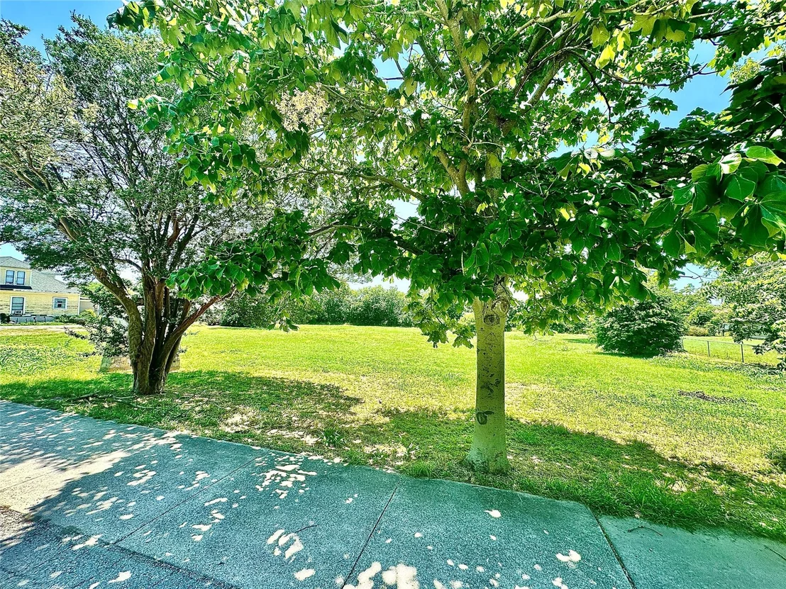Photo of 203 College Ave