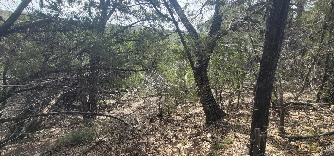 Photo of 21003 Panhandle CV