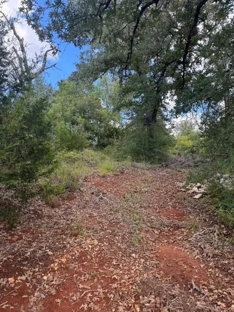 Photo of 261 Flaming Oak DR