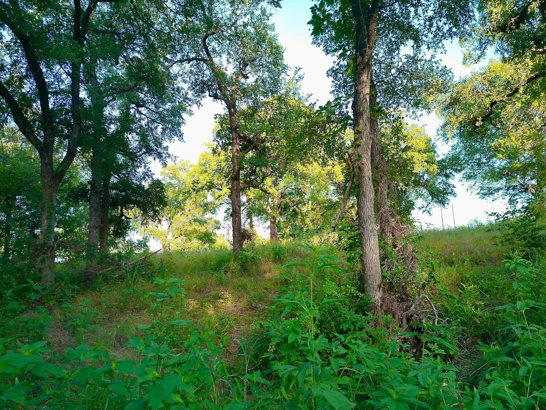 Photo of 100 Serenity DR