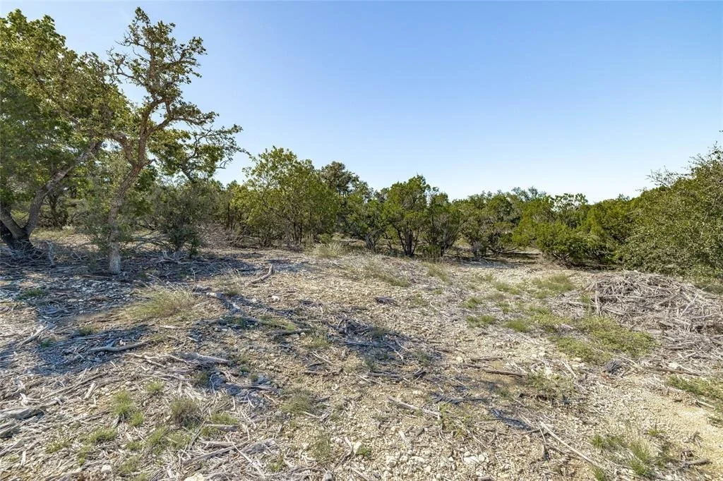 Photo of TBD County Road 281 Lot 4