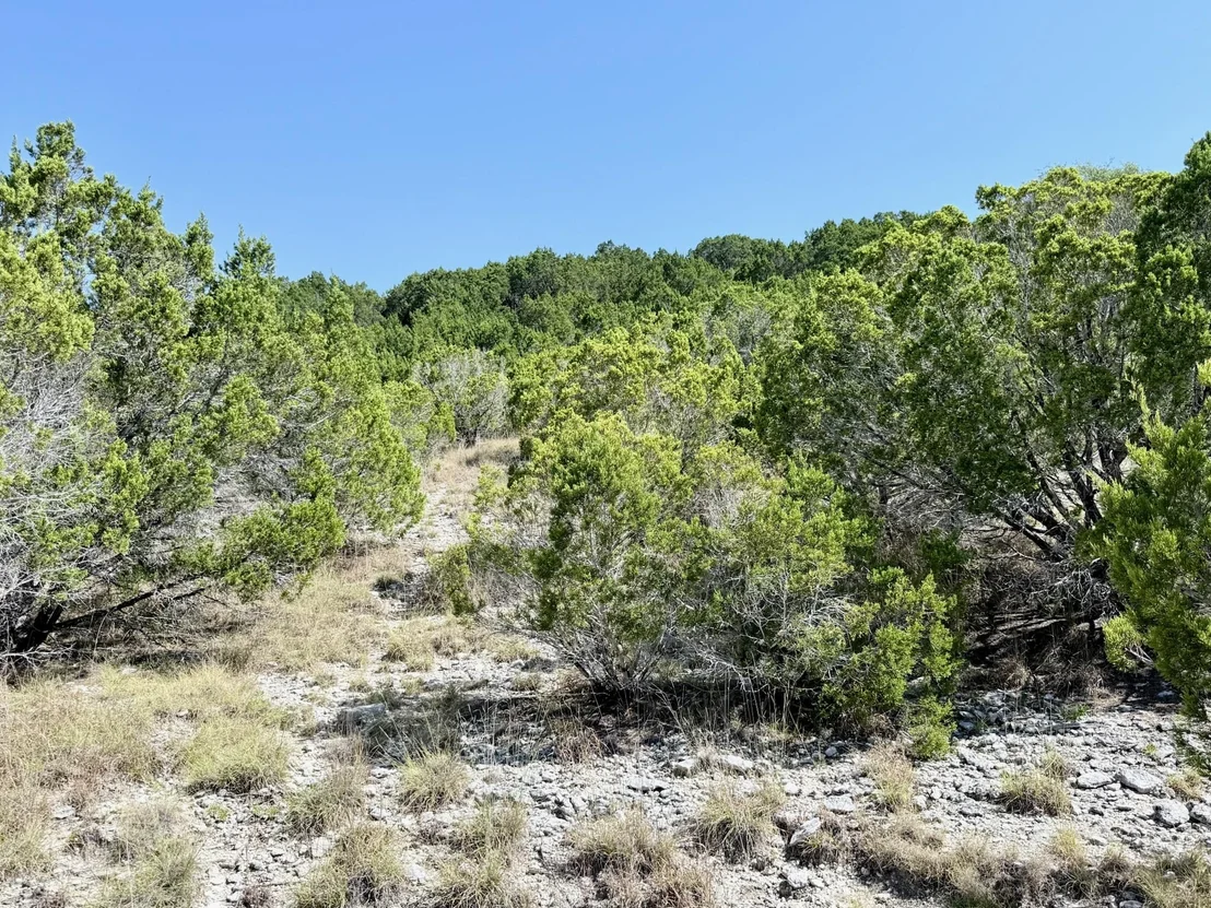 Photo of Lot 136 Spring Hollow DR