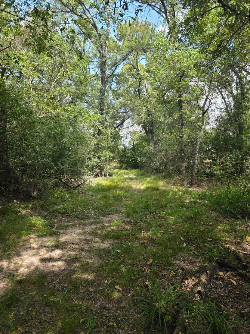 Photo of 11305 Cooper LN