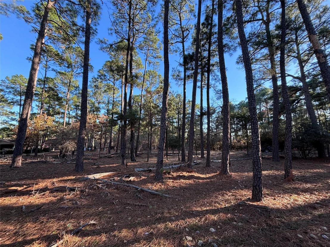 Photo of 987 Stephen LN