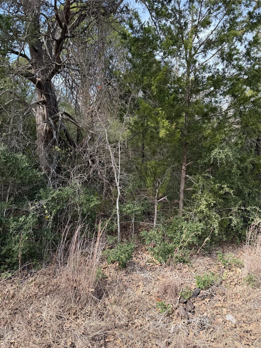 Photo of Lot 21 Flint Ridge ST