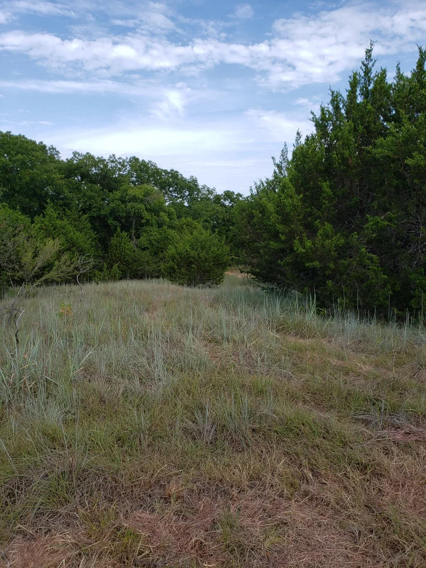 Photo of Lot 44 County Road 3640