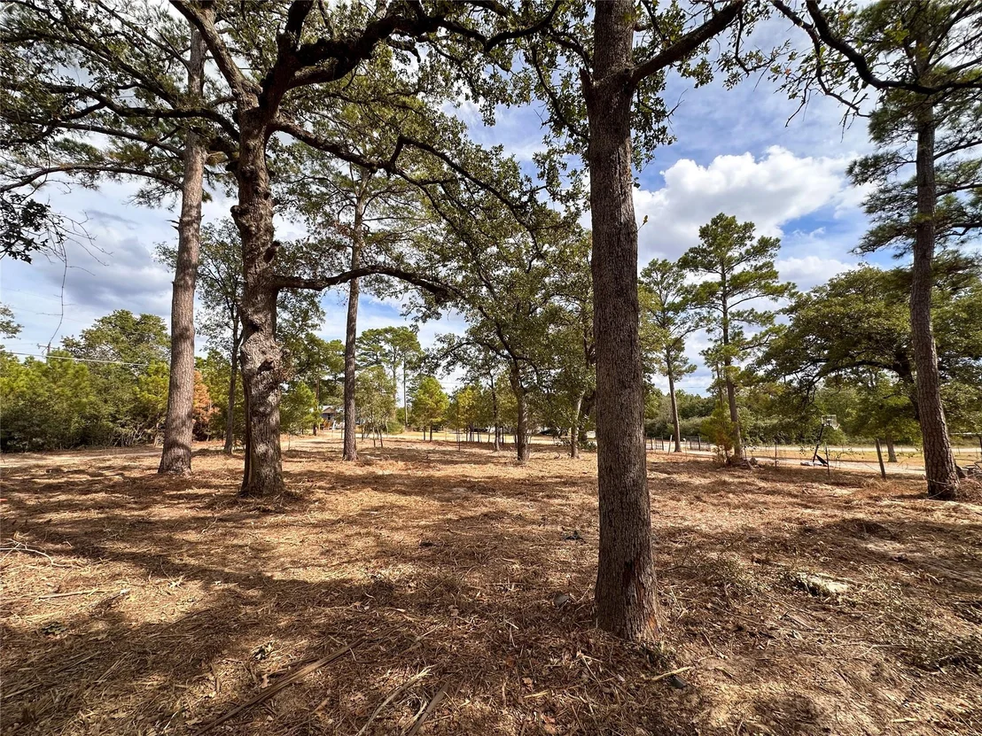 Photo of 287 Pine Hill LOOP