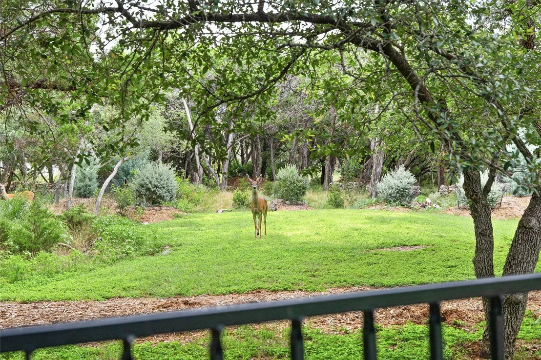 Photo of 1403 Camelback
