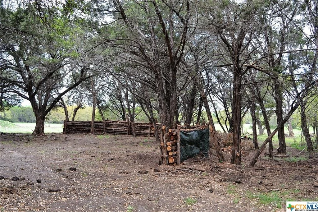 Photo of 1290 County Road 4765