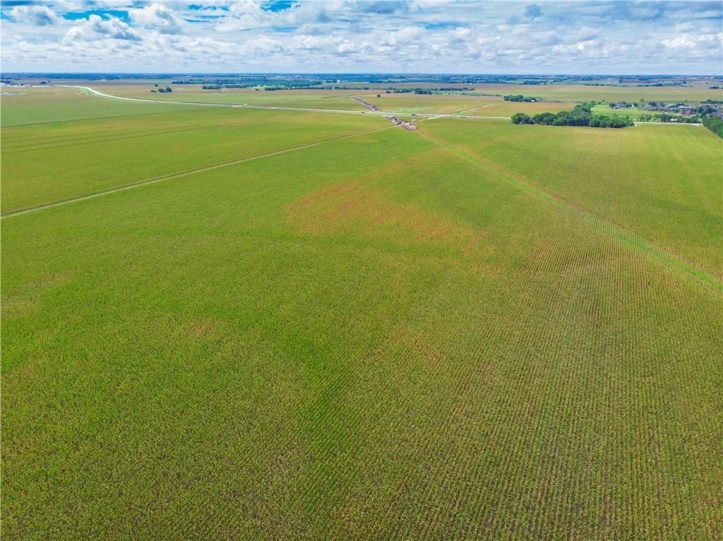 Photo of 703 County Road 368