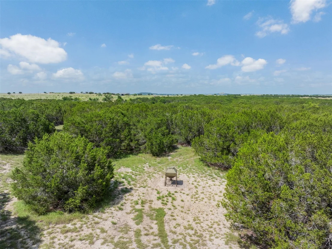 Photo of 2555 County Road 1139
