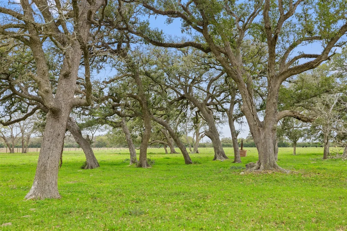 Photo of 778 County Road 123