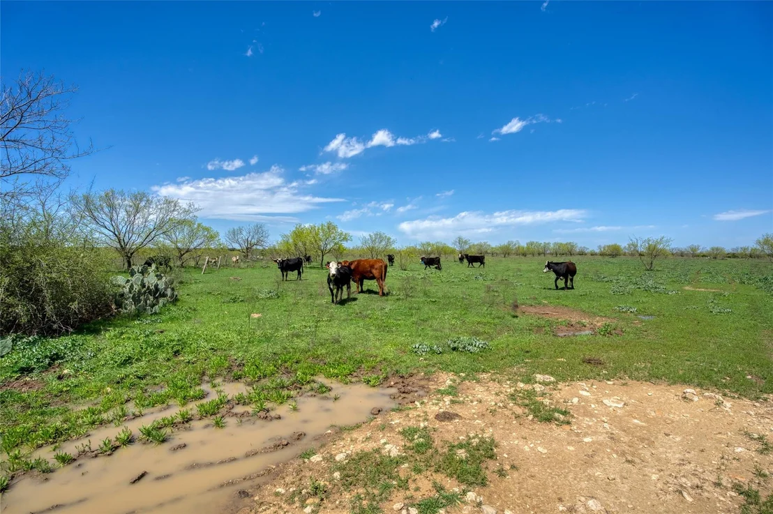 Photo of 4121 County Road 2719
