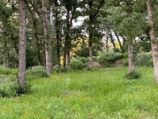 Photo of 360 Perry LN