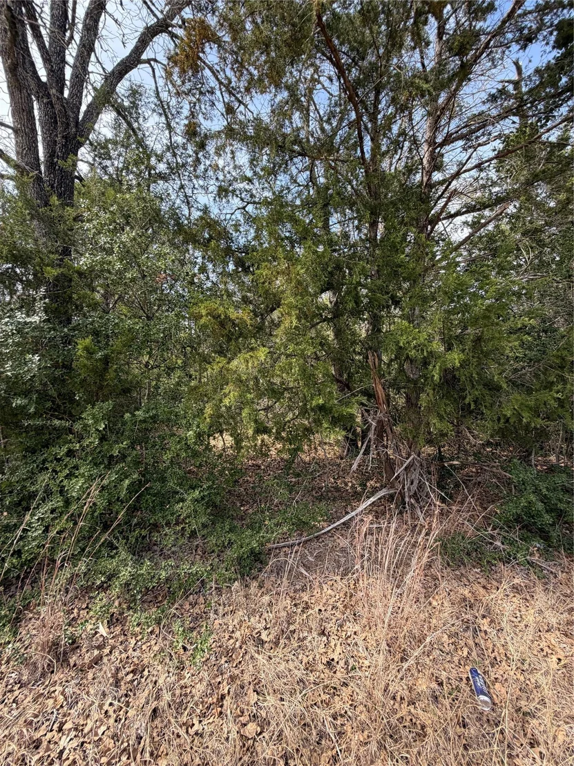 Photo of Lot 21 Flint Ridge ST