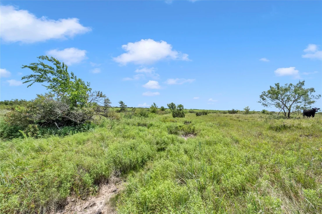 Photo of 11064 County Road 210 RD