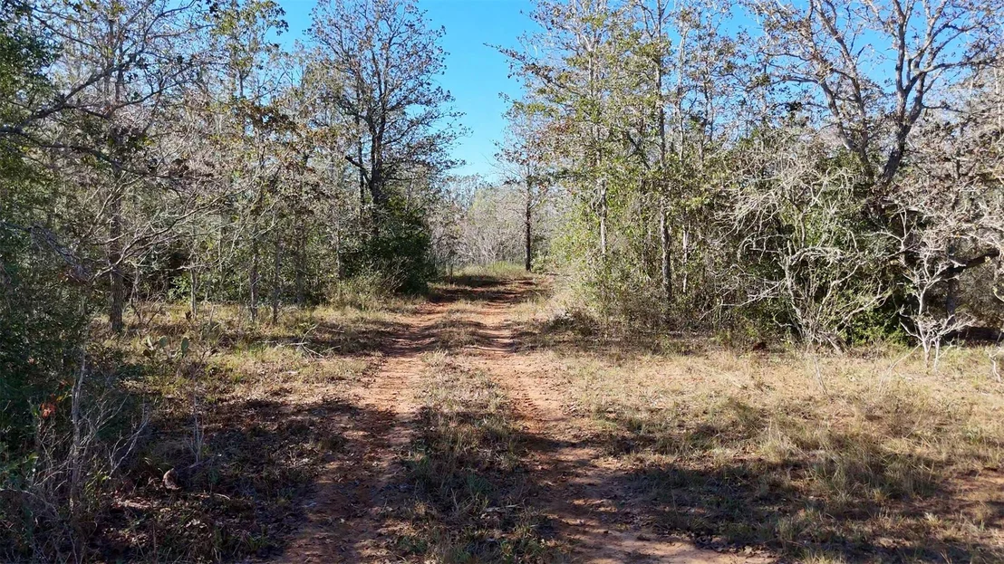 Photo of 7180 CR 283