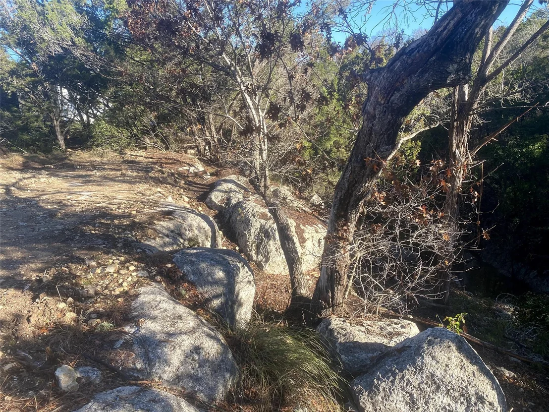 Photo of 2001 Lipan TRL