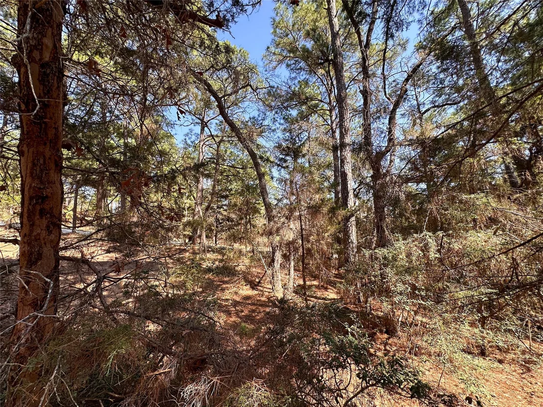 Photo of 116 Keaau CT