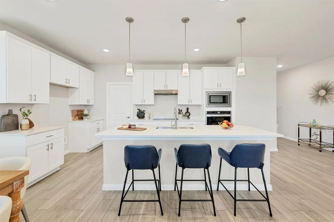 Photo of 90 Snowy Plover LN