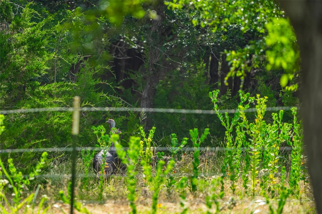 Photo of 301 Blessing Ranch RD