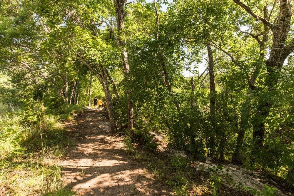 Photo of 5208 Buchanan Draw RD