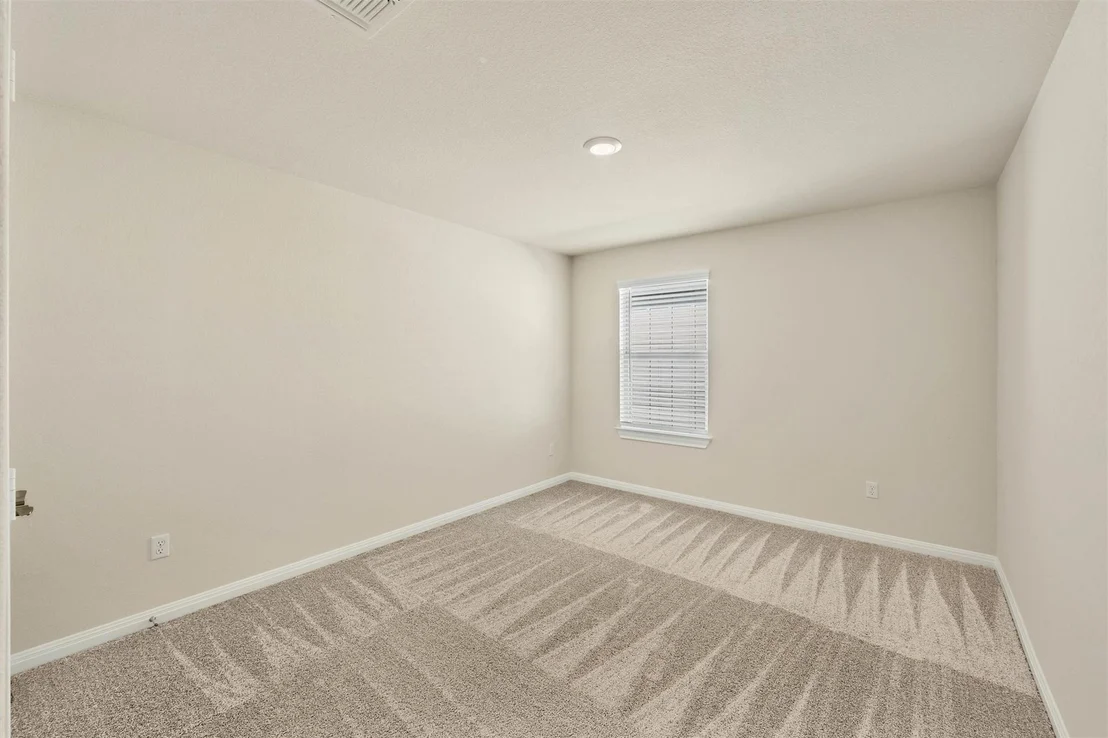 Photo of 90 Snowy Plover LN