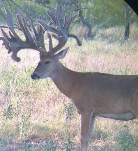 Photo of 2313 E Us Highway 79