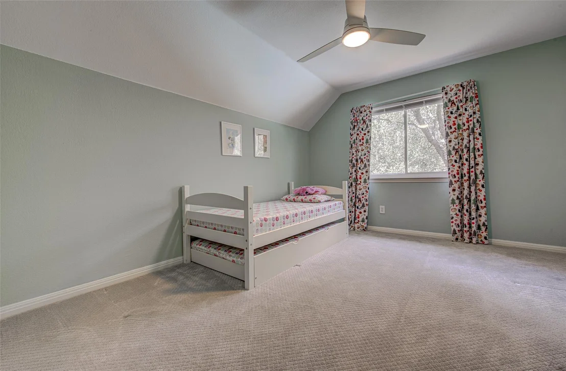 Photo of 10619 Indigo Broom LOOP