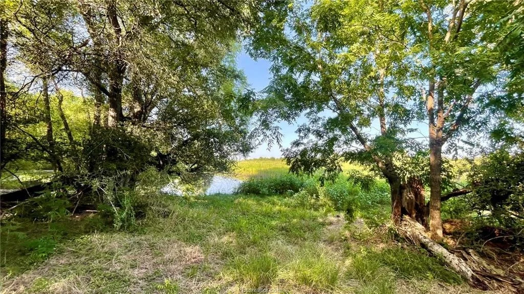 Photo of 750 County Rd 206A (15.5 Acres)