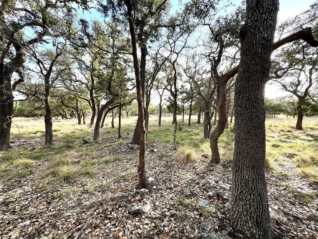 Photo of 1358 County Road 233 RD